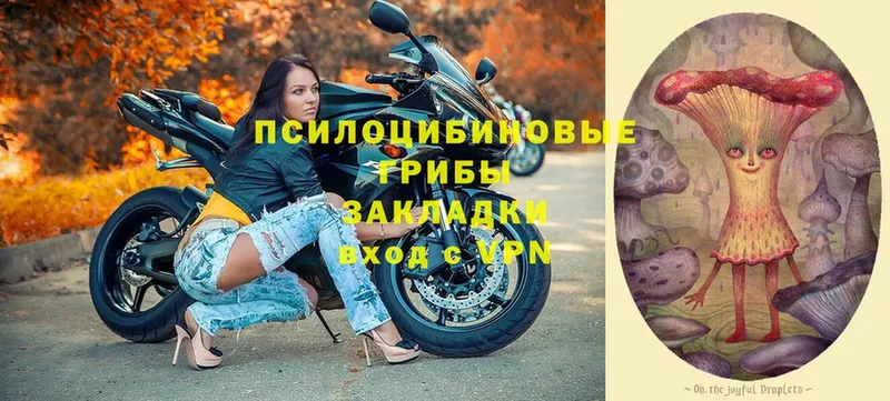 Галлюциногенные грибы ЛСД  Коломна 